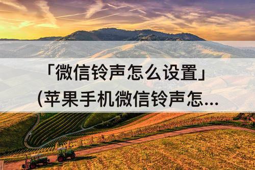 「微信铃声怎么设置」(苹果手机微信铃声怎么设置彩铃)
