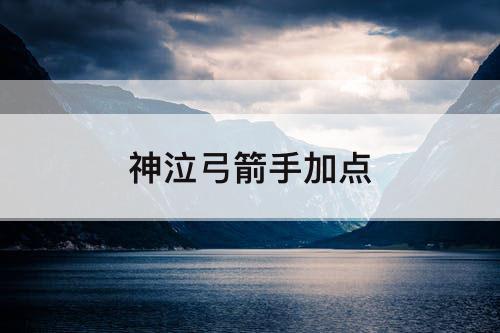 神泣弓箭手加点