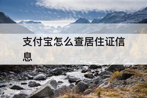支付宝怎么查居住证信息