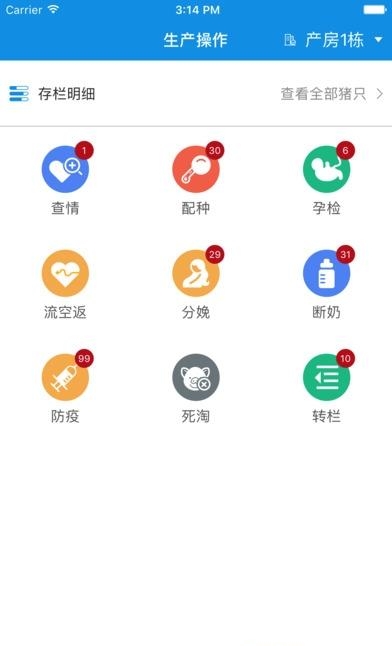 猪之宝
