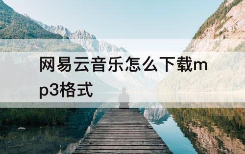 网易云音乐怎么下载mp3格式