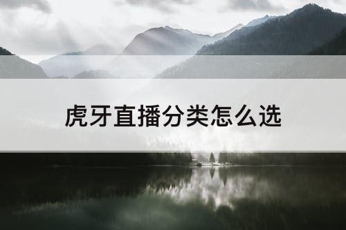 虎牙直播分类怎么选