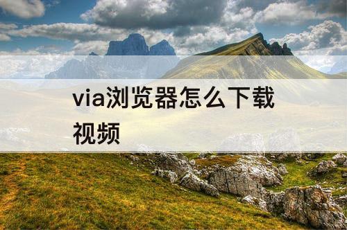 via浏览器怎么下载视频