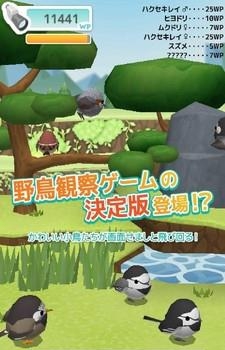 小鸟观察器