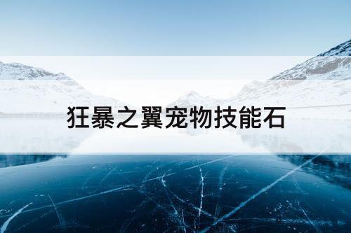 狂暴之翼宠物技能石
