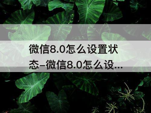 微信8.0怎么设置状态-微信8.0怎么设置状态动态背景