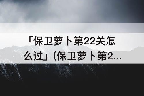 「保卫萝卜第22关怎么过」(保卫萝卜第22关怎么过第二季)