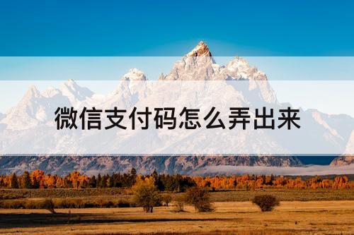 微信支付码怎么弄出来