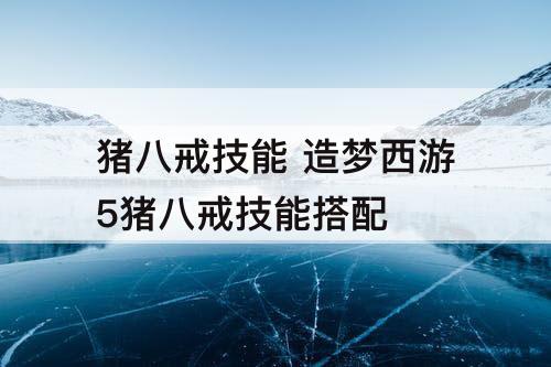 猪八戒技能 造梦西游5猪八戒技能搭配