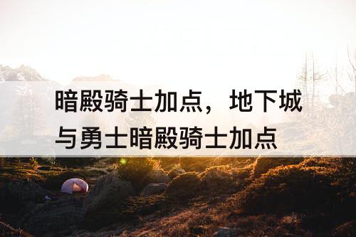 暗殿骑士加点，地下城与勇士暗殿骑士加点