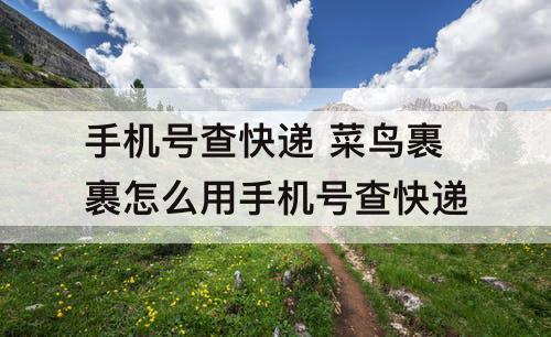 手机号查快递 菜鸟裹裹怎么用手机号查快递