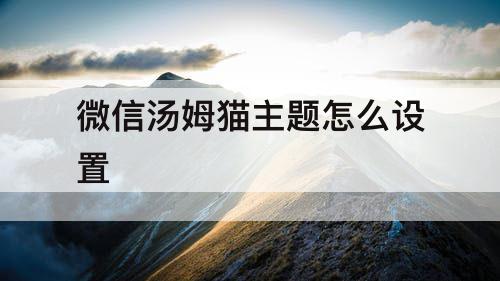 微信汤姆猫主题怎么设置