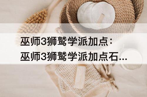 巫师3狮鹫学派加点：巫师3狮鹫学派加点石之心