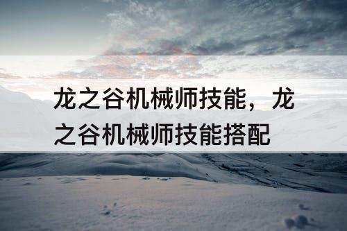 龙之谷机械师技能，龙之谷机械师技能搭配