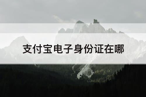 支付宝电子身份证在哪
