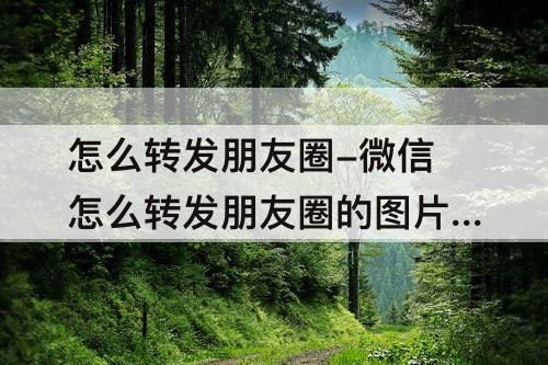 怎么转发朋友圈-微信怎么转发朋友圈的图片和文字
