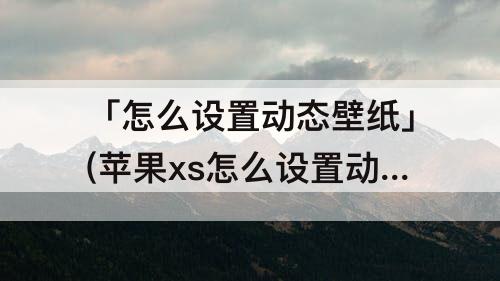 「怎么设置动态壁纸」(苹果xs怎么设置动态壁纸有声音)