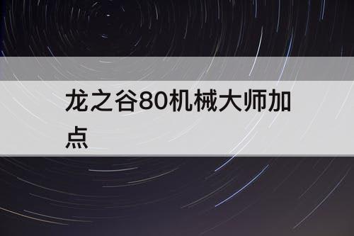 龙之谷80机械大师加点