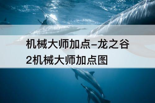 机械大师加点-龙之谷2机械大师加点图