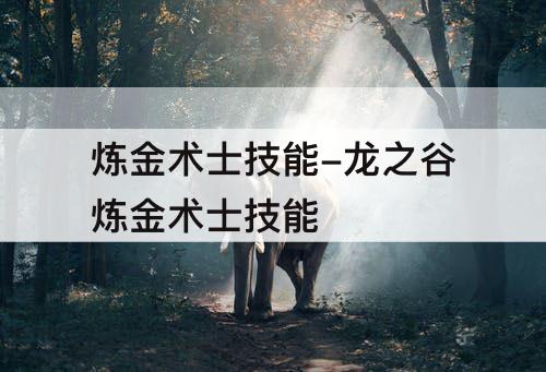 炼金术士技能-龙之谷炼金术士技能