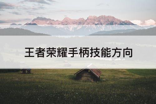 王者荣耀手柄技能方向