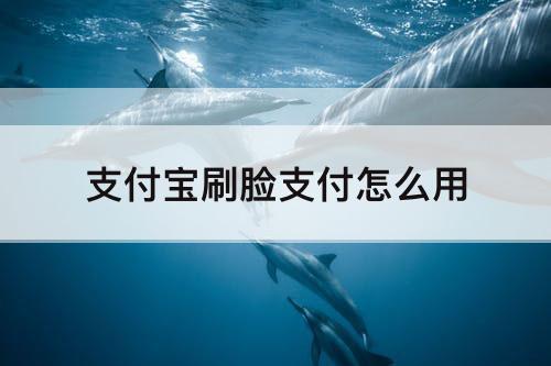 支付宝刷脸支付怎么用