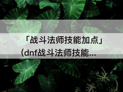 「战斗法师技能加点」(dnf战斗法师技能加点模拟)