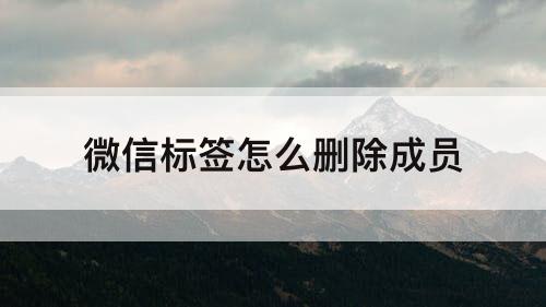 微信标签怎么删除成员