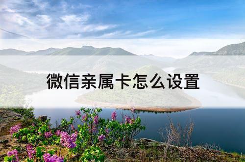 微信亲属卡怎么设置