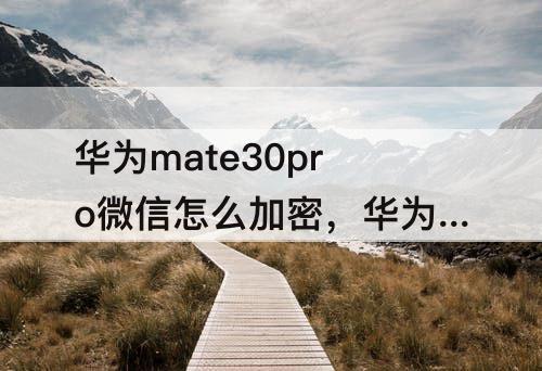 华为mate30pro微信怎么加密，华为mate30pro微信怎么加密码