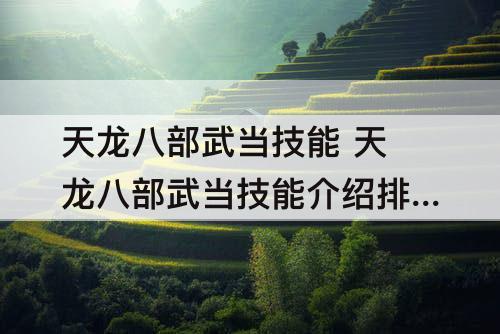 天龙八部武当技能 天龙八部武当技能介绍排序
