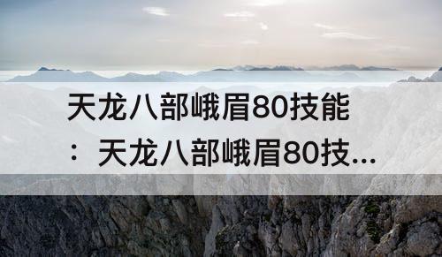 天龙八部峨眉80技能：天龙八部峨眉80技能书