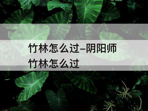 竹林怎么过-阴阳师 竹林怎么过