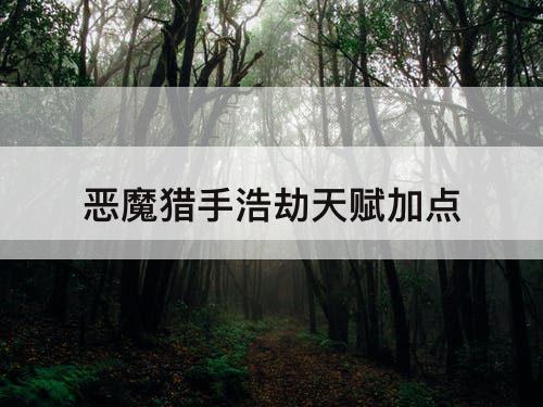 恶魔猎手浩劫天赋加点