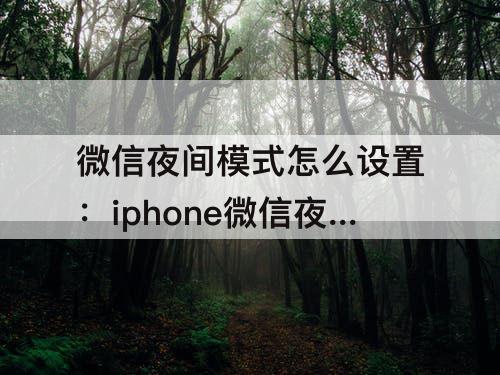 微信夜间模式怎么设置：iphone微信夜间模式怎么设置