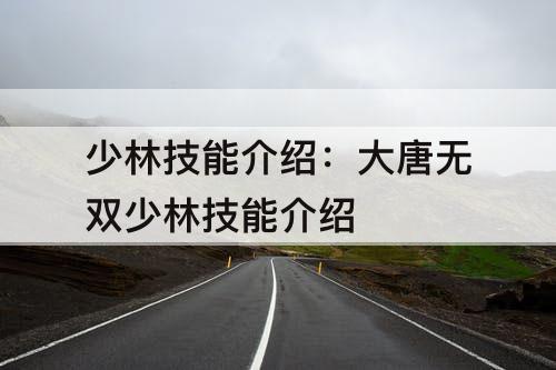 少林技能介绍：大唐无双少林技能介绍