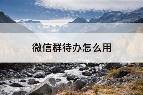 微信群待办怎么用