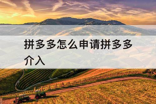 拼多多怎么申请拼多多介入