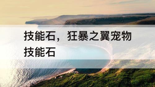 技能石，狂暴之翼宠物技能石
