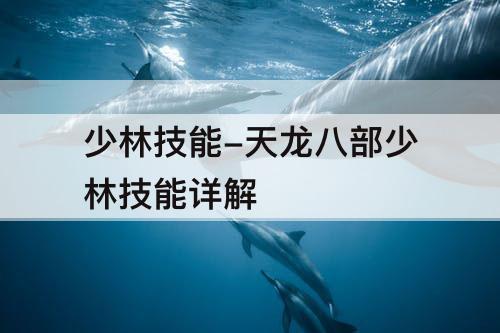 少林技能-天龙八部少林技能详解