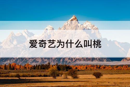 爱奇艺为什么叫桃