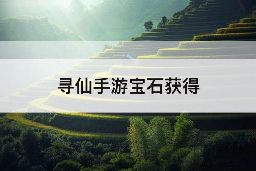 寻仙手游宝石获得