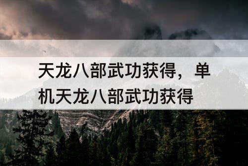 天龙八部武功获得，单机天龙八部武功获得