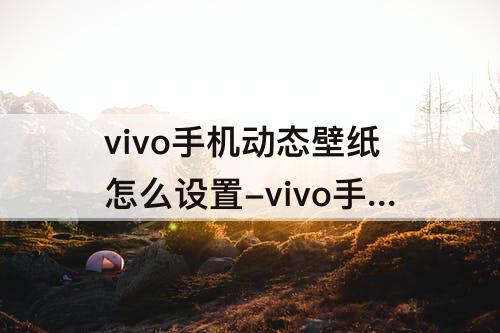 vivo手机动态壁纸怎么设置-vivo手机动态壁纸怎么设置自己的视频