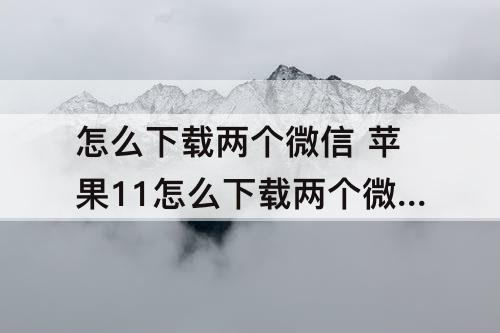 怎么下载两个微信 苹果11怎么下载两个微信