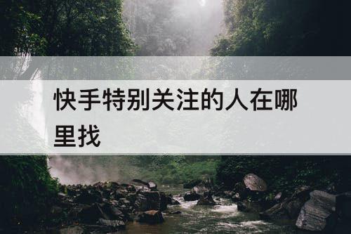 快手特别关注的人在哪里找