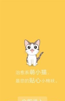 会说话的萌猫