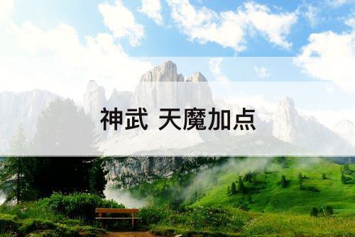 神武 天魔加点