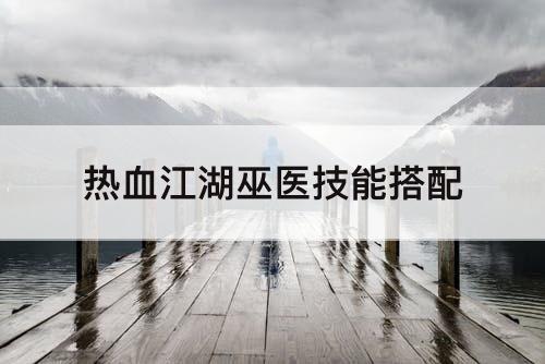 热血江湖巫医技能搭配