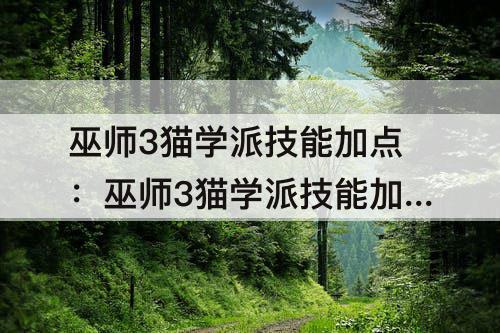 巫师3猫学派技能加点：巫师3猫学派技能加点推荐